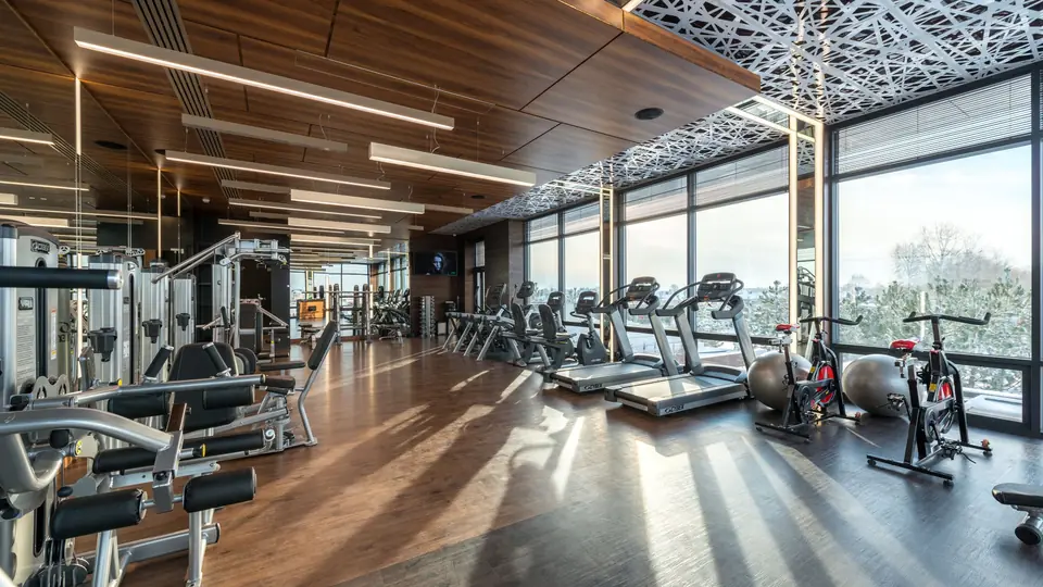 A bright gym floor with treadmills and weight machines beside tall windows